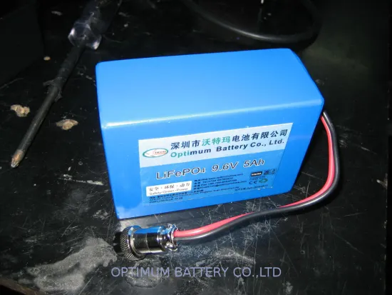 Deep Cycle 9.6v 5ah Rechargeable Lithium Iron Phosphate Batteries With Smart Chargers