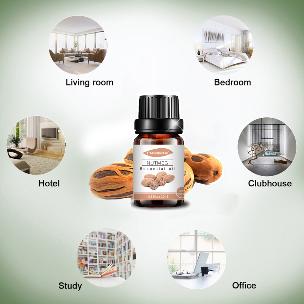 Wholesale Nutmeg Oil for Skin Care at bulk