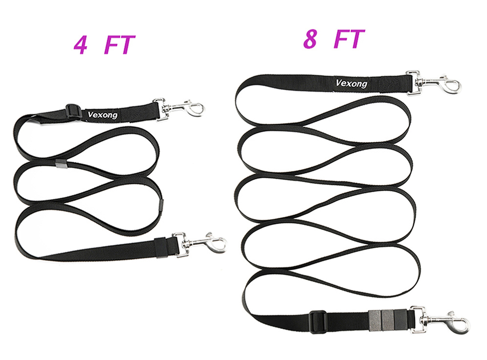 chewy dog leash