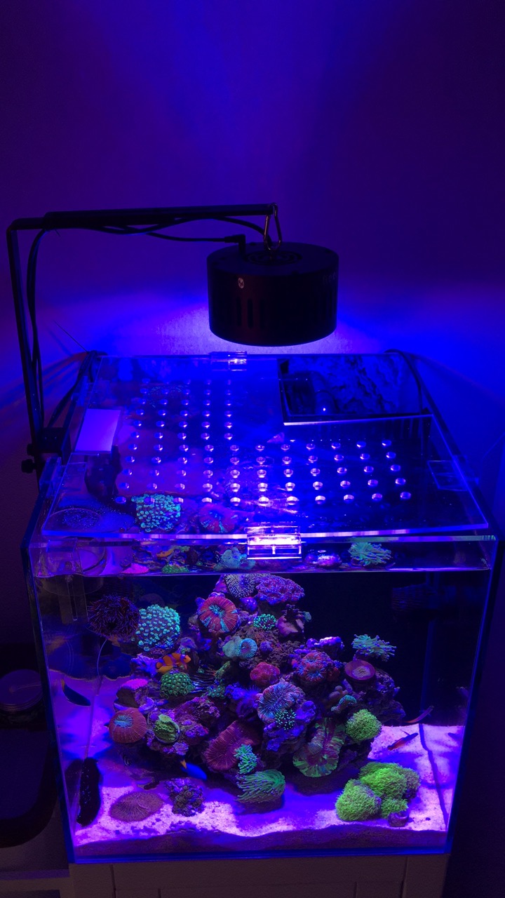 2019 Wifi Led Aquarium Light Coral Reef