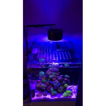 LED Aquarium Light Freshwater WiFi Control UV S80