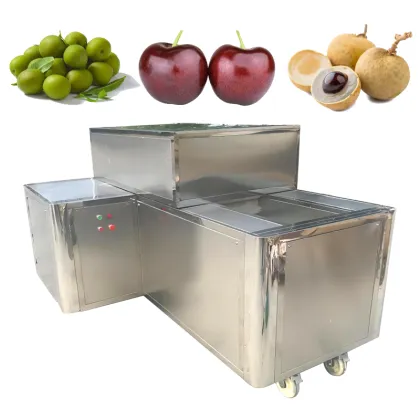 Longan Seeds Pitter Machine | Green Plum Cherry Pitting Equipment