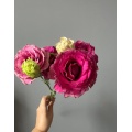 তোড়া জন্য টাটকা কাটা ফুল Burgundy Lisianthus পাইকারি