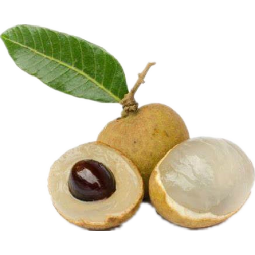 Natural Dried Dimocarpus Longan Extract