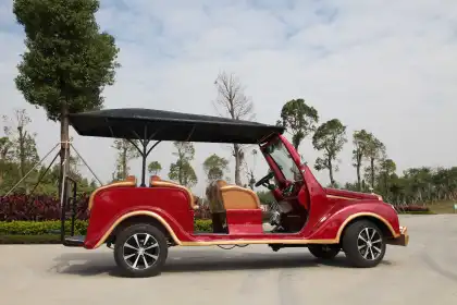 Electric Classic Cars South Africa