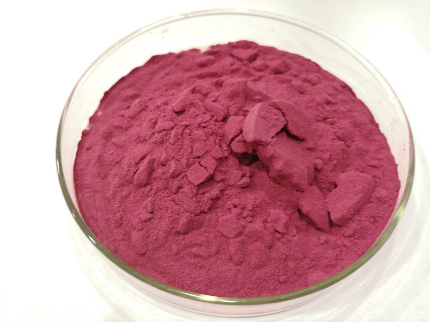 High Quality Black Elderberry Extract