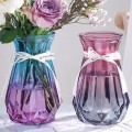 Wide-mouthe Glass Vase simple style Clear Glass vase