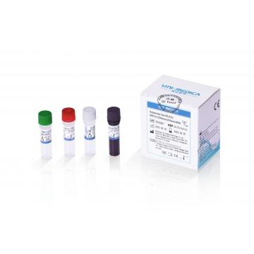 Multiplex-Echtzeit-PCR-Kit für SARS-CoV-2/Influenza A/Influenza B/RSV