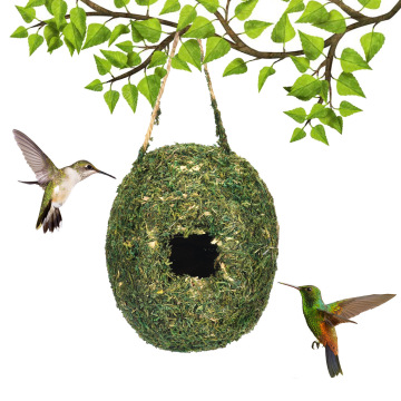 Enchanting Hummingbird House: Creative Moss Bird Nest