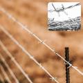 Alambre de barbas de doble toque galvanizado / eléctrico en caliente