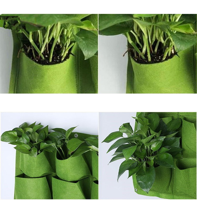 Wall hanging plant pockets