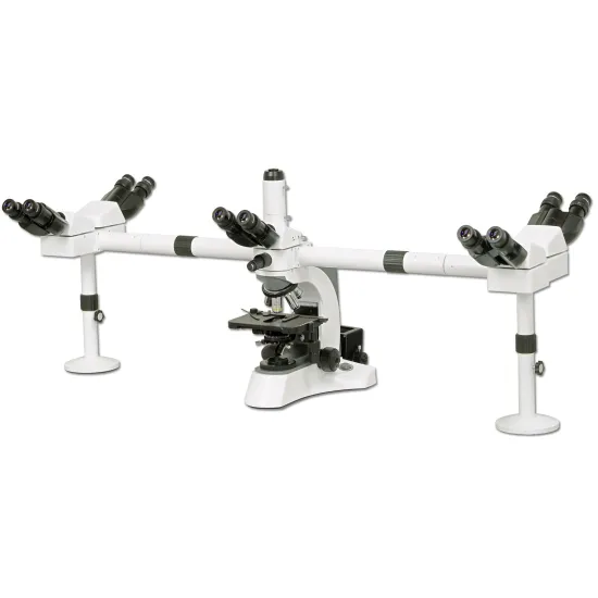 Bestscope BS-2080MH10 Multi-Head Biological Microscope for Group Research