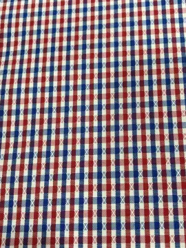 T/C(20%Cotton80%Polyester)Yarn-dyed Dobby Plaid Fabric