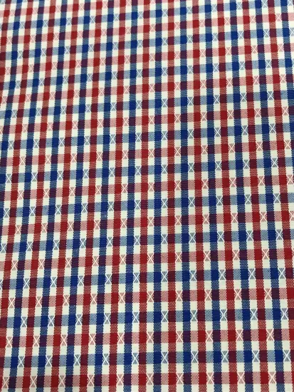 T/C(20%Cotton80%Polyester)Yarn-dyed Dobby Plaid Fabric