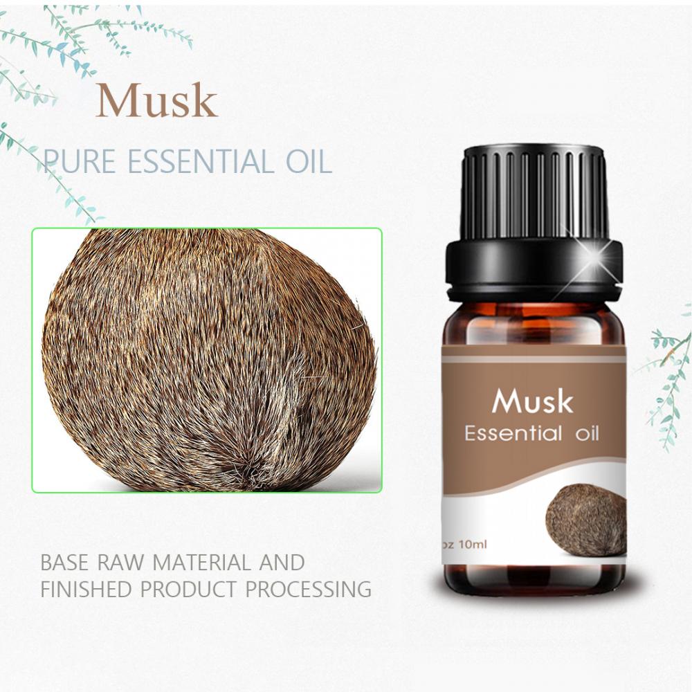 LOGO DE VENTACIÓN CONSEJO 10 ml Aroma de aceite esencial de Musk Pure Musk