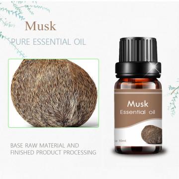hot selling custom logo 10ml pure musk essential oil aroma