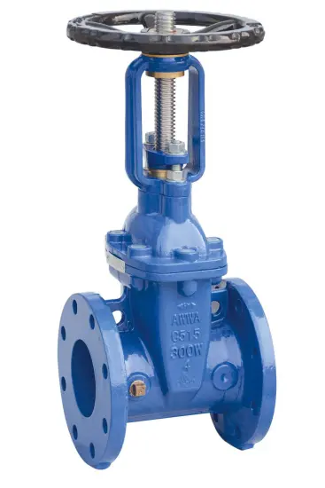 American Flanged Resilient OS&Y Gate Valve