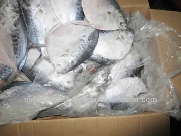 Moonfish/Frozen fish