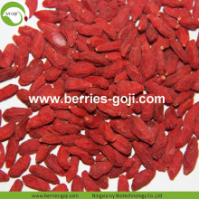 Factory Supply Fruits Natural Best Quality Goji Berry