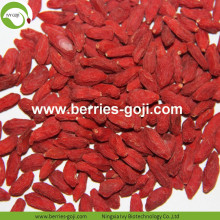 Factory Supply Früchte natürliche beste Qualität Goji Berry