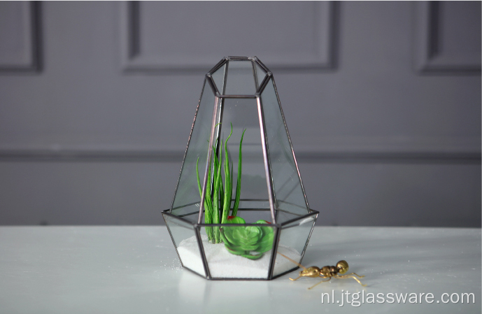 Hot Selling Indoor Plant Glas Terrarium Geometrisch