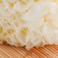 High quality nutrition Tremella hot selling of selling