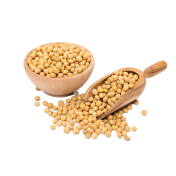 Natural Soybean extract Powder