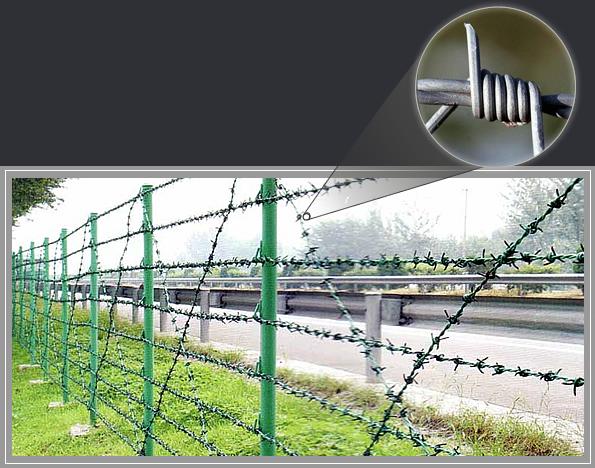 Galvanized Wire Price Per Roll Barb Fencing Design