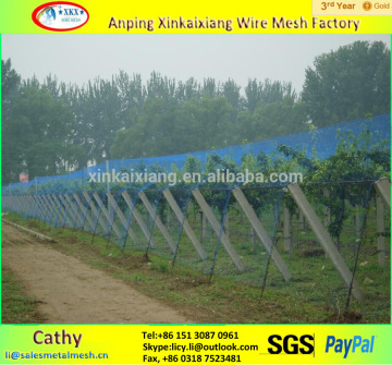 green/blue/black plastic anti bird netting