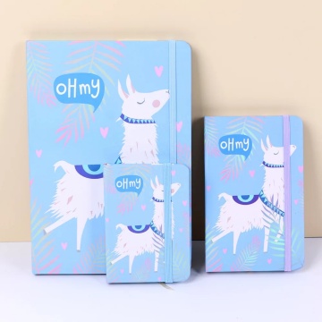 Livre de mots de passe des enfants Alpaca