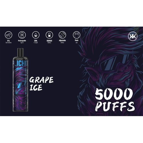 Disposable energy vape 5000puffs