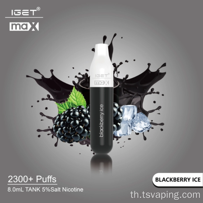 IGET MAX 2300 PUFFS DISPOSIC