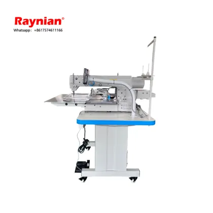 China Factory Wholesale Raynian-30*20F Dahao Programmable Electronic Pattern Sewing Machine