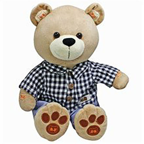 푹신한 잠자는 장난감을 가진 귀여운 갈색 곰