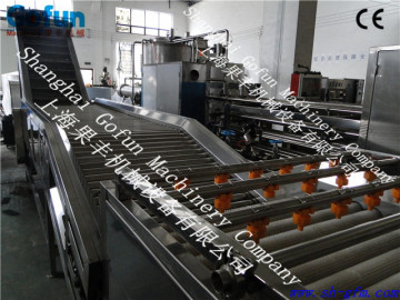 The professional supplier for mango washer and elevator machine with CE manufactured in shanghai gofun
