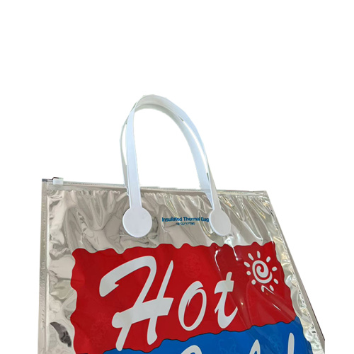 Temperature control bag for beach trips