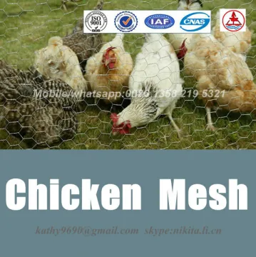 Hexagonal Chicken Wire Mesh/Chicken hexagonal wire netting (anping factory)