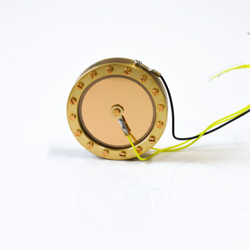 Dual Sided Large Diaphragm Capsule for Condenser Mic