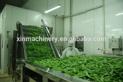Automatic vegetable washer/vegetable washing machine/vegetable cleaning machine