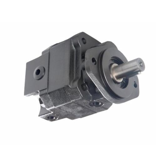 Hydraulic gear motor.