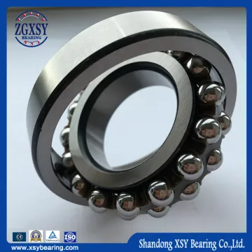 Zgxsy 2304 Self-Aligning Ball Bearing