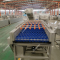 Date Palm Polishing Brush Cleaning Machine for processing