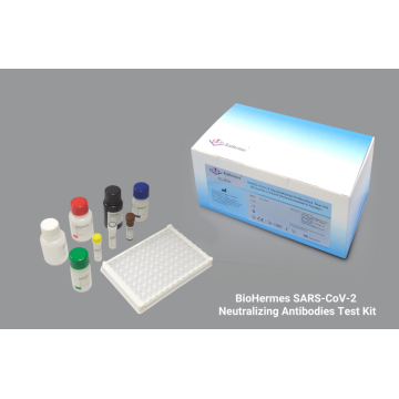 Coronavirus Neutralization Antibody Assay