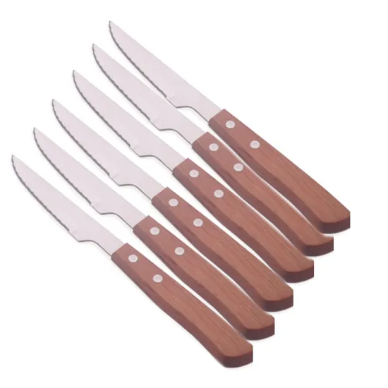 Stainless Steel Steak Knife Reviews and Buying Guide
