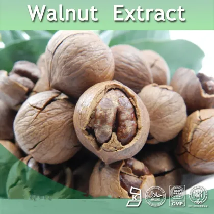 Pure natural walnut seed extract walnut kernel extract