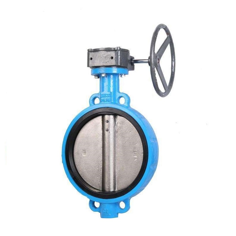 Soft Seated Replaceable Seat Wafer Butterfly Valve