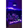 Fllizon Aquarium Lightings Full Spectrum Fan Cofring 2022