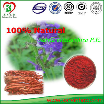 Manufacturer Direct Supply Pure Natural Salvia miltiorrhiza P.E.