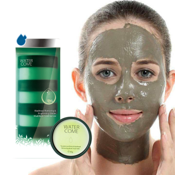 Customized Organic Clay Mask with Green Tea and Centella Sicatica for Purifying Skin