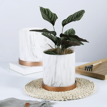 Hot Selling Luxury Nordic Butterfly Orchid Pot with Marble Finish and Tray: A Touch of Elegance in Ceramic Design